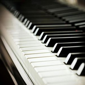 美女大胸wwwwww软件
