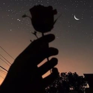 美女大胸wwwwww软件
