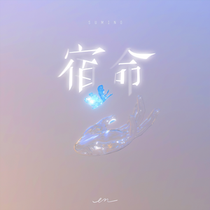 美女大胸wwwwww软件
